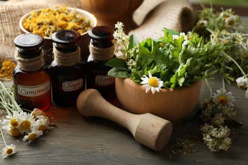 Mejores Productos Naturales