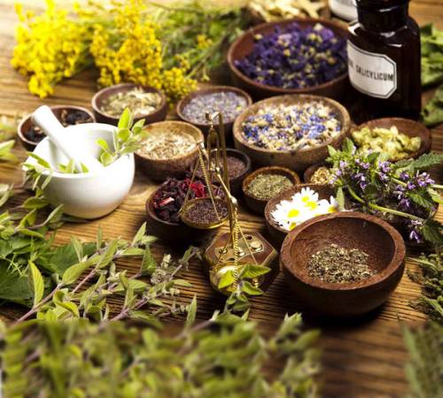 Mejores Productos Naturales